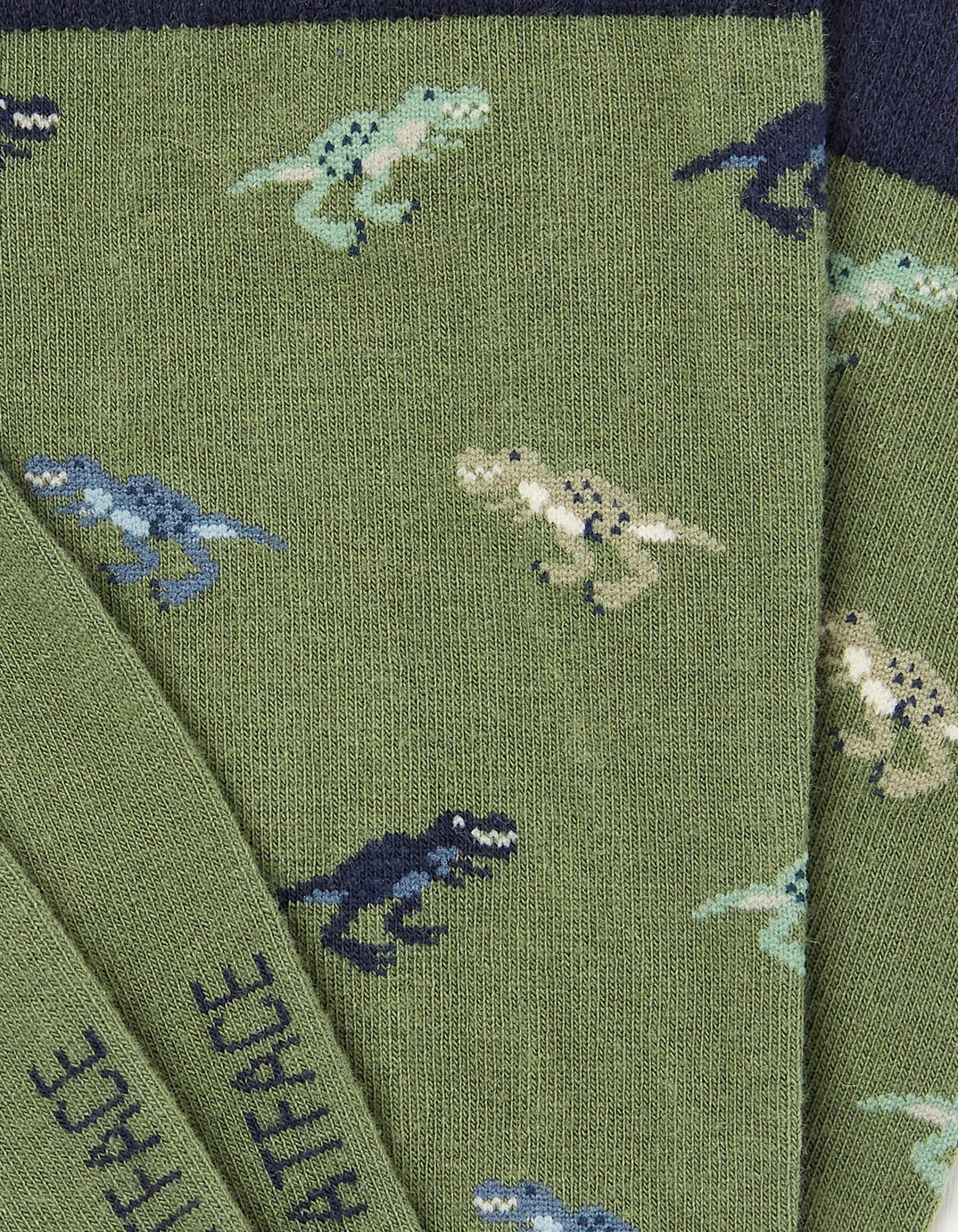 Clearance FatFace 1 Pack Dinosaur Socks Green