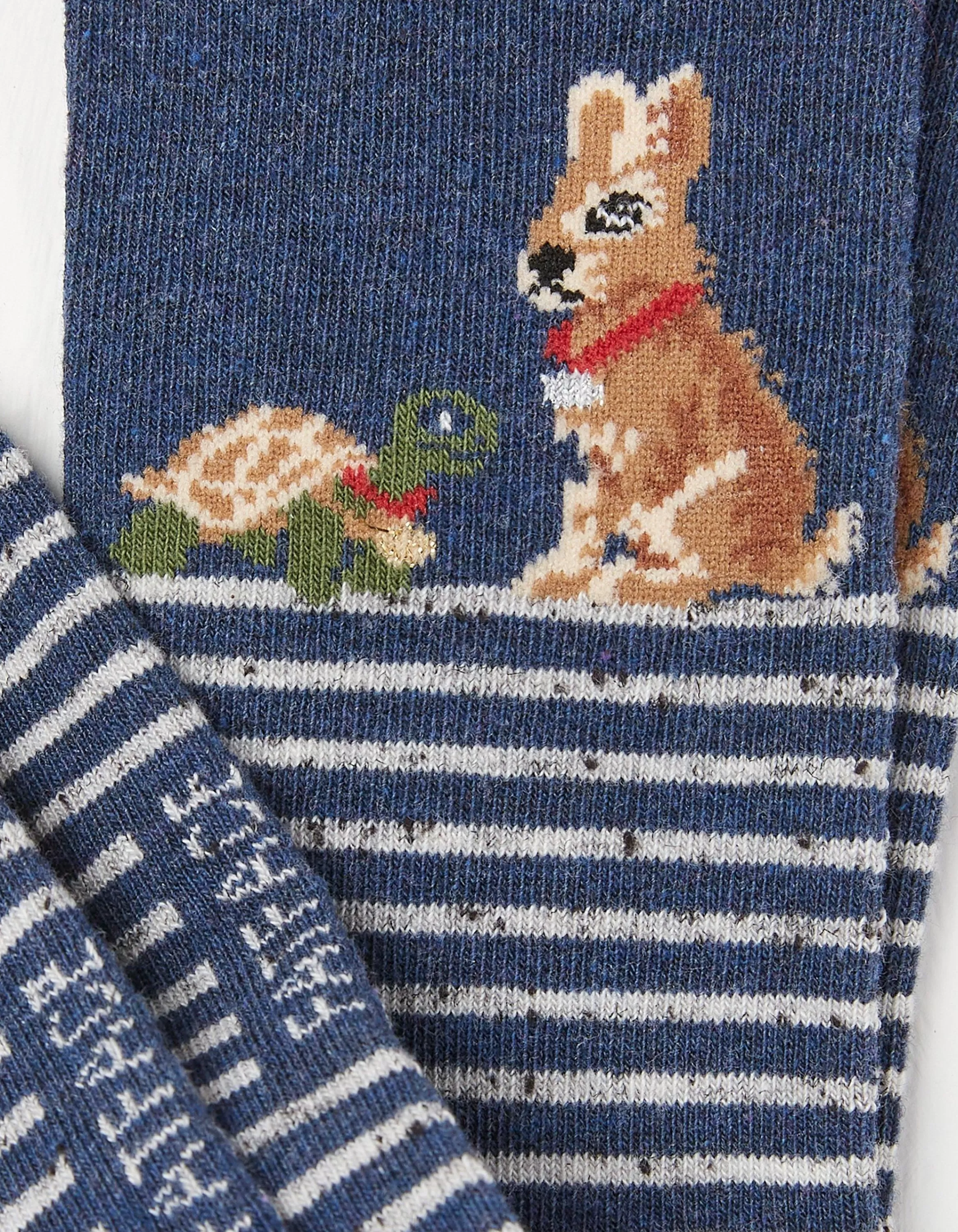 Fashion FatFace 1 Pack Tortoise And Hare Socks Navy