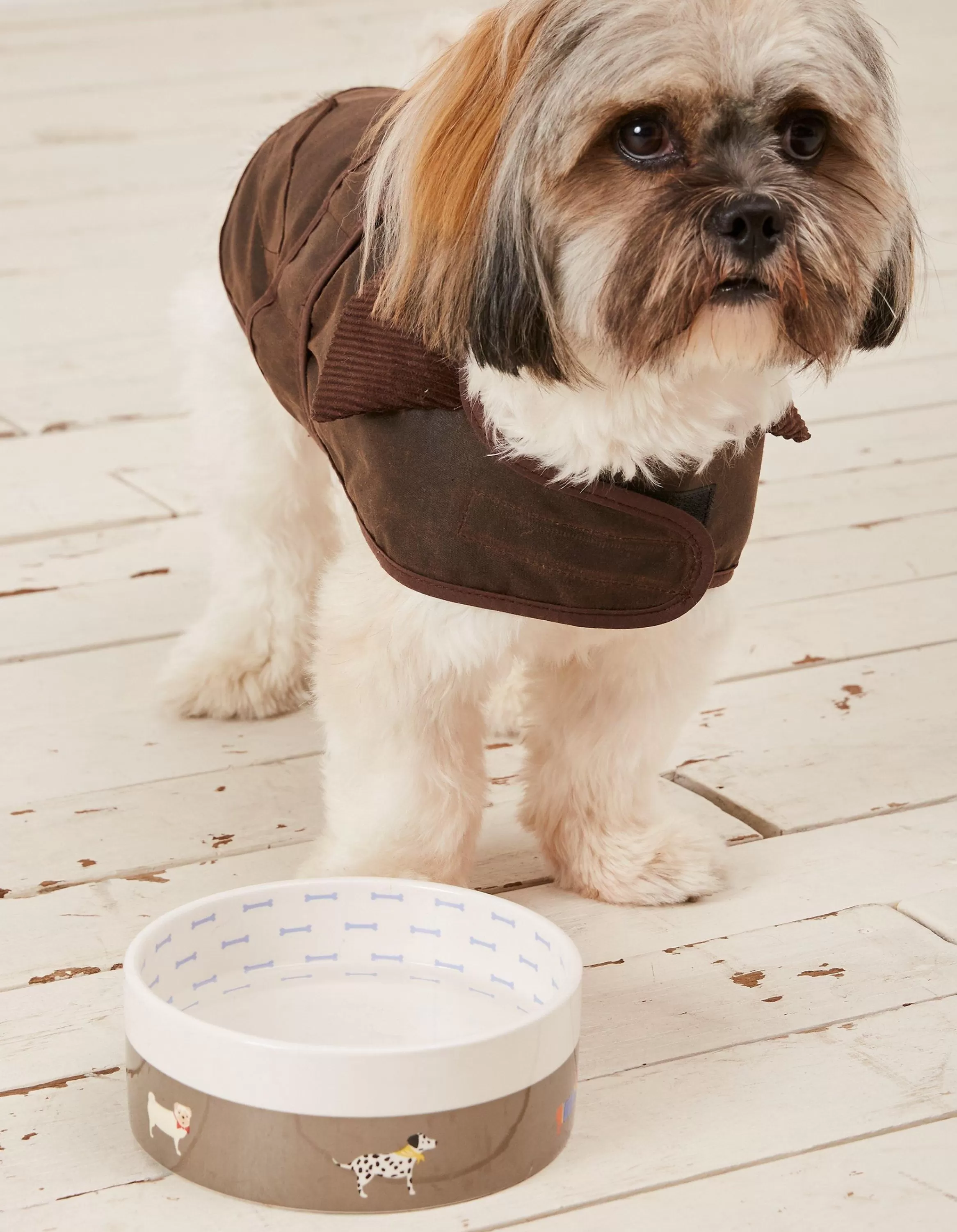 Discount FatFace Marching Dogs Print Pet Bowl Grey