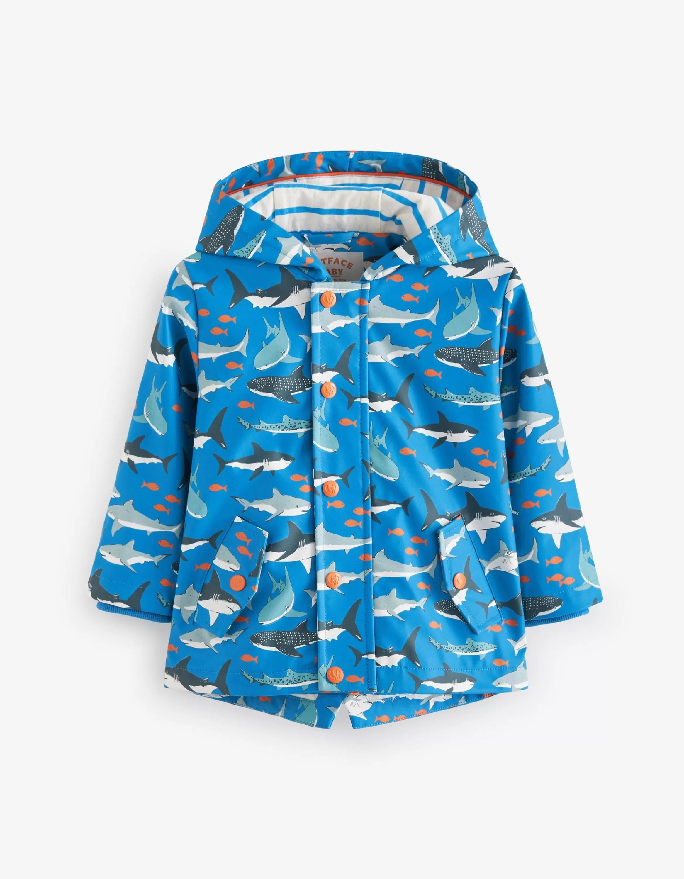 Flash Sale FatFace Shark Print Raincoat Blue