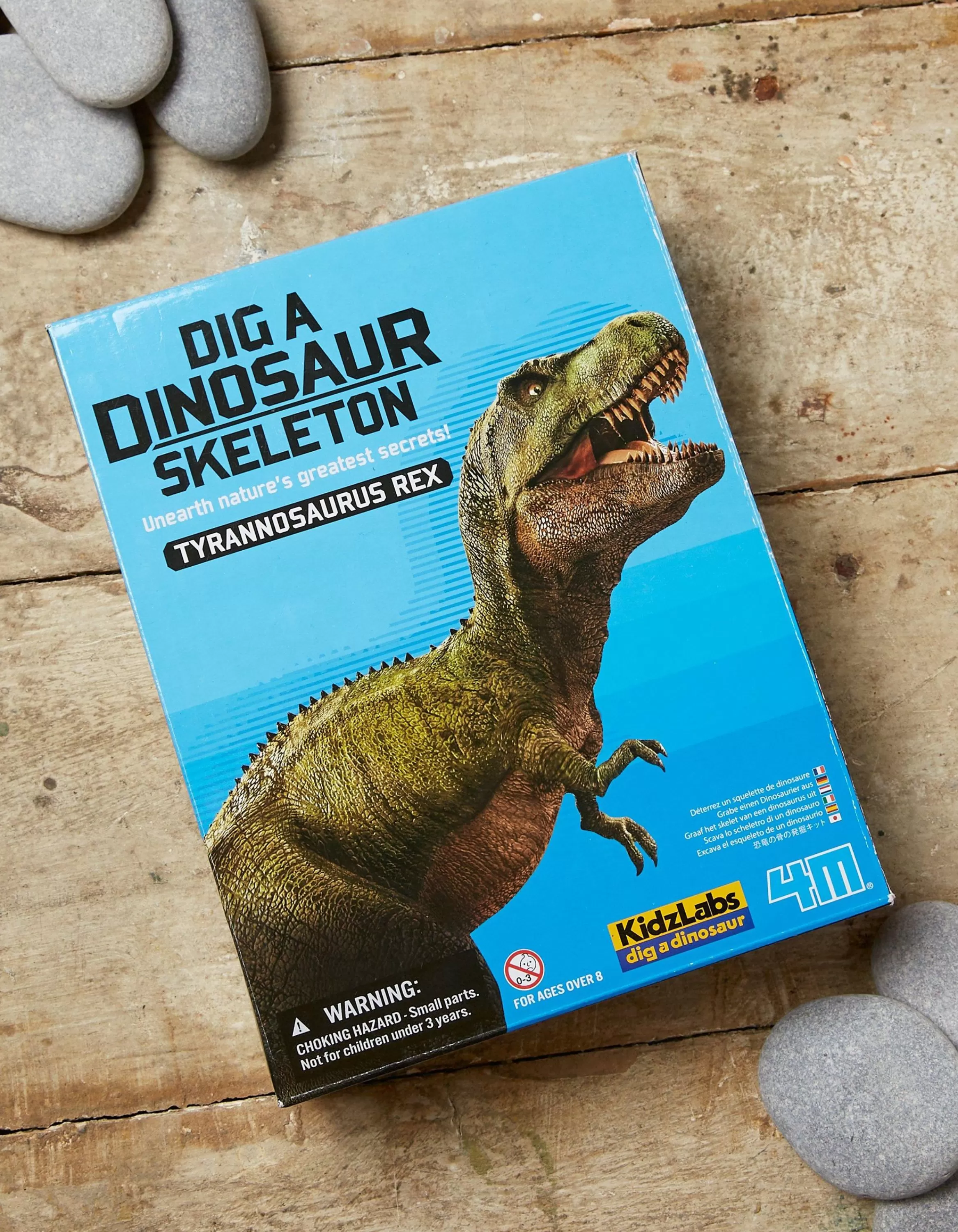 Best FatFace T Rex Excavation Kit Multi